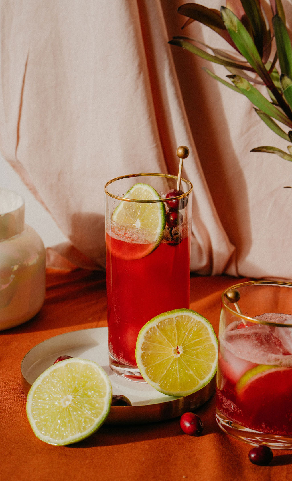 Cranberry chai mule with lime and cranberries