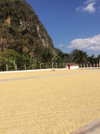 High Drive Blend