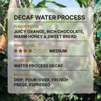 Decaf Water Process